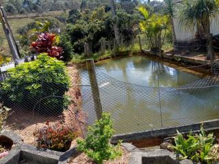 Baependi: Sitio em Baependi/MG de 52 Hectares 8