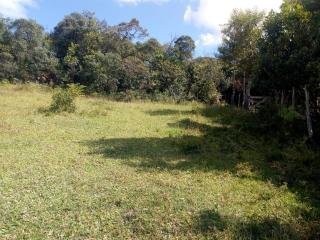 Baependi: Sitio de 26 Hectares em Baependi/MG 6