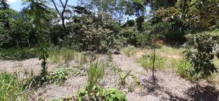 Paty do Alferes: Vendo Terreno no bairro Zenobi&oacute;polis em Paty do Alferes - RJ 6