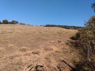 Baependi: Sitio de 10 Hectares em São Thomé/MG 5
