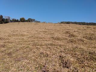 Baependi: Sitio de 10 Hectares em São Thomé/MG 6
