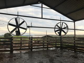 Baependi: Fazenda 181 Hectares em Carrancas/MG 15