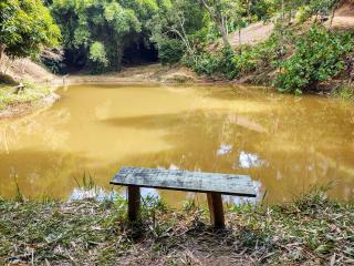 Baependi: Sitio de 9,5 Hectares em Baependi/MG 3