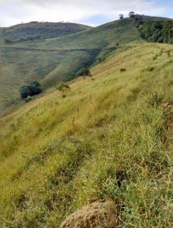 Baependi: Sitio de 9,5 Hectares em Baependi/MG 7