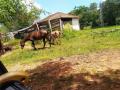 Campanha: Fazenda em Campanha-MG de 19,37 Hectares