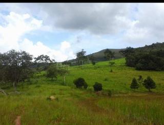 Baependi: Fazenda Estiva em Carvalhos de 85,38 Hectares 5