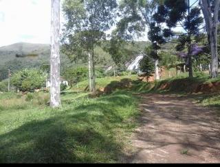 Baependi: Fazenda Estiva em Carvalhos de 85,38 Hectares 8