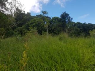 São Paulo: Terreno em Santa Catarina, Garopaba / Imbituba, com 100.000 m² em um ambiente natural de tirar o fôlego com alto potencial para eco-desenvolvimento 2