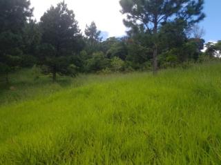 São Paulo: Terreno em Santa Catarina, Garopaba / Imbituba, com 100.000 m² em um ambiente natural de tirar o fôlego com alto potencial para eco-desenvolvimento 6