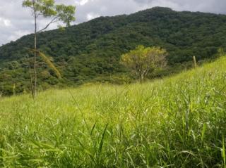 São Paulo: Terreno em Santa Catarina, Garopaba / Imbituba, com 100.000 m² em um ambiente natural de tirar o fôlego com alto potencial para eco-desenvolvimento 9