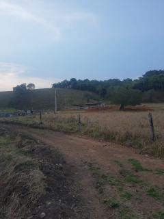 Baependi: Sitio de 7 Hectares em Dom Vi&ccedil;oso/MG 6