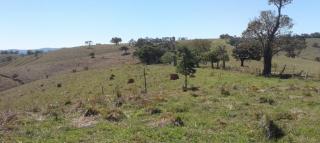 Baependi: Sitio de 36,7 Hectares em São Thomé das Letras 4