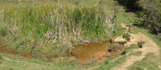 Baependi: Sitio de 36,7 Hectares em São Thomé das Letras 9