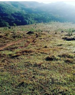 Baependi: Sitio de 15 Alqueire em São Thomé das Letras/MG 2