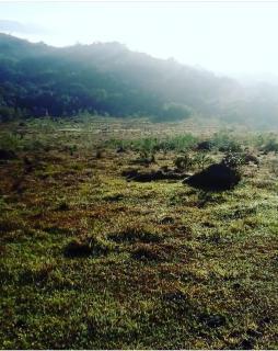 Baependi: Sitio de 15 Alqueire em São Thomé das Letras/MG 4