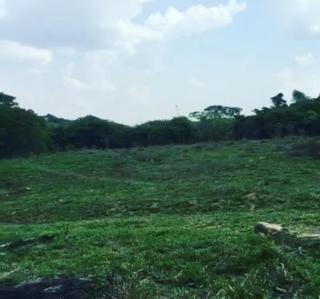Baependi: Sitio com chalés em São Thomé das Letras/MG 12