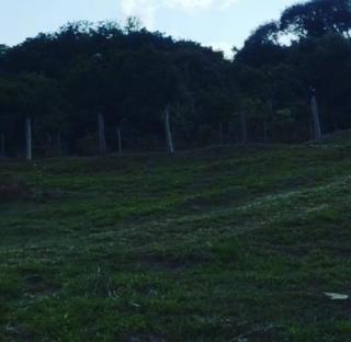 Baependi: Sitio com chalés em São Thomé das Letras/MG 13