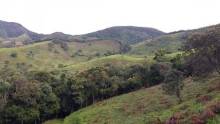 Baependi: Sitio de 11 Hectares em Bocaina de Minas 7