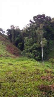 Baependi: Sitio de 11 Hectares em Bocaina de Minas 8