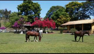 Baependi: Haras pousada de 12 Hectares em Caxambu/MG 1