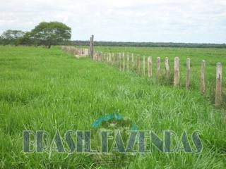 Eun&aacute;polis: Fazenda na Bahia Oeste 21 mil hectares 4