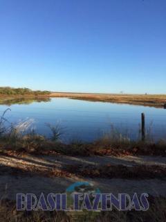 Eun&aacute;polis: Fazenda na Bahia Oeste 21 mil hectares 6