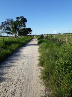 Eun&aacute;polis: Fazenda em Porto Seguro 677 hectares 8