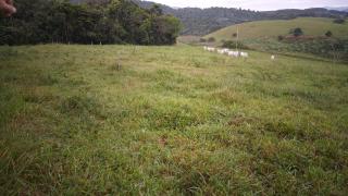 Eunápolis: Fazenda em Itamaraju.  433 hectares. Pecuária 11
