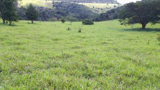 Eunápolis: Fazenda em Porto Seguro. 212 hectares 12