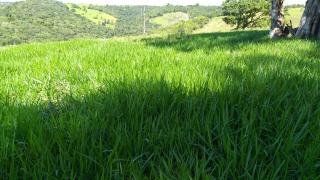 Eunápolis: Fazenda em Porto Seguro. 212 hectares 13