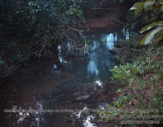 Cuiabá: VENDO!!! Um sitio de 15,62 Hectares na região do rio manso ha 120 km da cidade Cuiabá sendo 18 km de chão 11