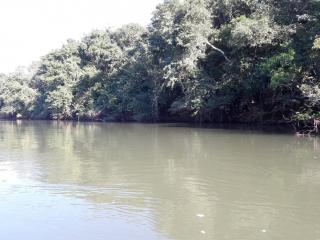 Cuiab&aacute;: VENDO!!! um s&iacute;tio de 16.54 hectares na regi&atilde;o do manso no porto de cima com 89 metros margeando o rio manso 15