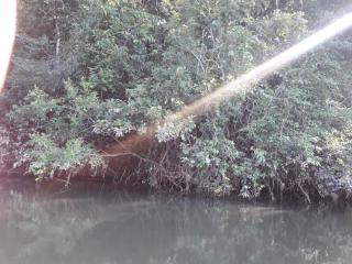 Cuiab&aacute;: VENDO!!! um s&iacute;tio de 16.54 hectares na regi&atilde;o do manso no porto de cima com 89 metros margeando o rio manso 2