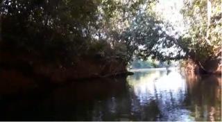 Cuiab&aacute;: VENDO!!! um s&iacute;tio de 16.54 hectares na regi&atilde;o do manso no porto de cima com 89 metros margeando o rio manso 8