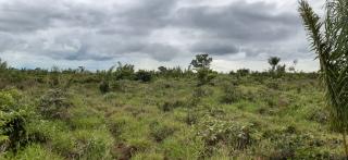 Eunápolis: Fazenda em Nova Maringá Mato Grosso 3