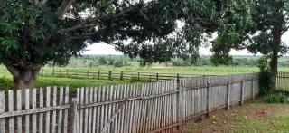Eun&aacute;polis: Fazenda em Nova Maring&aacute; Mato Grosso 4