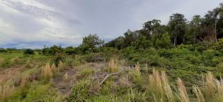 Eun&aacute;polis: Fazenda em Nova Maring&aacute; Mato Grosso 5