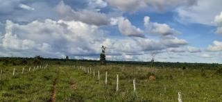 Eun&aacute;polis: Fazenda em Nova Maring&aacute; Mato Grosso 7