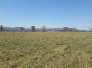 Cuiab&aacute;: VENDO!!! Uma Fazenda com 194 hectares nas margens da BR 040, com 45% formada 4