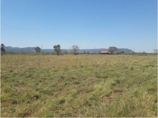 Cuiabá: VENDO!!! Uma Fazenda com 194 hectares nas margens da BR 040, com 45% formada 4