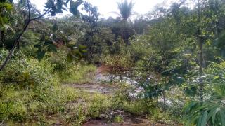 Cuiabá: VENDO!!!, fazenda com 149 Hectares na região da cidade de Rondonópolis-Mato Grosso-MT, sentindo a cidade de Poxoréo a 42 km de Rondonópolis. 9