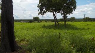Cuiab&aacute;: VENDO!!! uma fazenda com240 hectares localizada na  regi&atilde;o do posto 120 estrada de C&aacute;ceres-MT 2