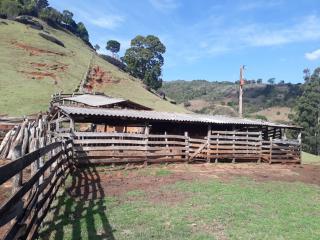 Baependi: Sitio excelente em Baependi de 68 Hectares 3