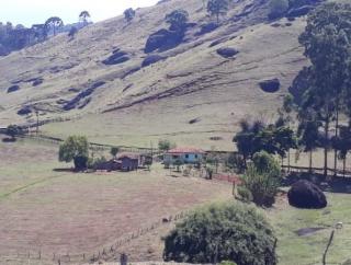 Baependi: Sitio excelente em Baependi de 68 Hectares 7