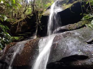 Baependi: Sitio ótimo de 30 Hectares em Alagoa/MG 1