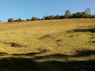 Baependi: Sitio ótimo de 30 Hectares em Alagoa/MG 10