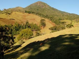 Baependi: Sitio ótimo de 30 Hectares em Alagoa/MG 11