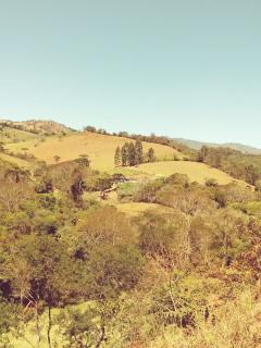 Baependi: Sitio ótimo de 30 Hectares em Alagoa/MG 5