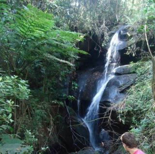 Baependi: Sitio ótimo de 30 Hectares em Alagoa/MG 6