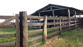 Cuiabá: VENDO!!! Uma área rural Fazenda com 8.652,21 Hectares, localizada na rodovia MT 480 na região da cidade de Tangará  29